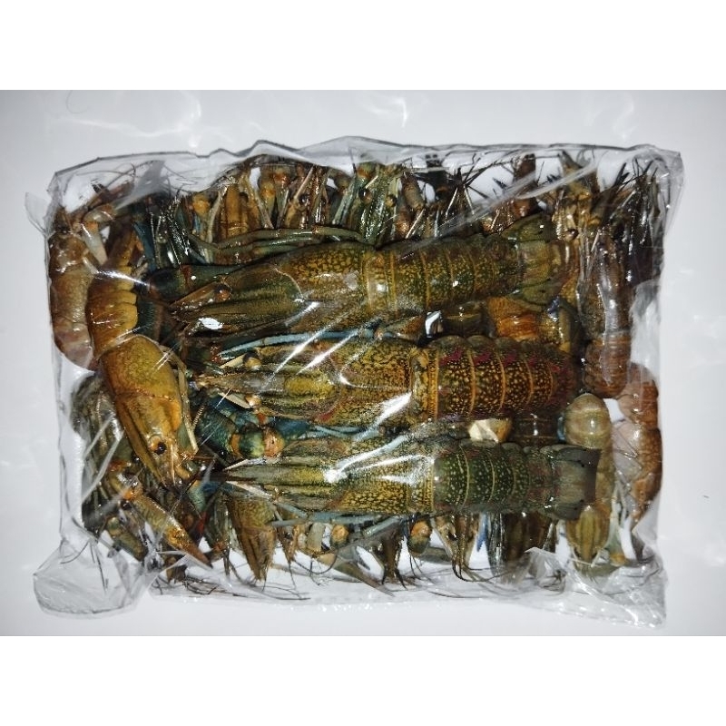 

Frozen Lobster Air Tawar