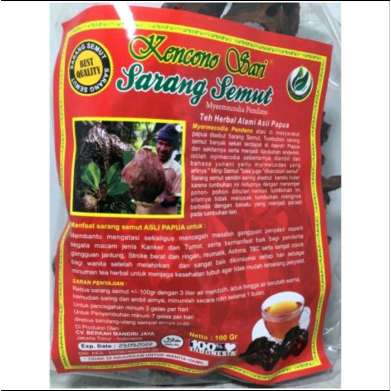 

Sarang Semut Asli Papua UD Fira | Sarang Semut Kencono Sari