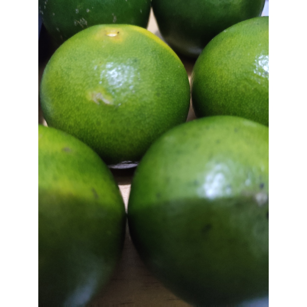 

Jeruk peras 1 kg