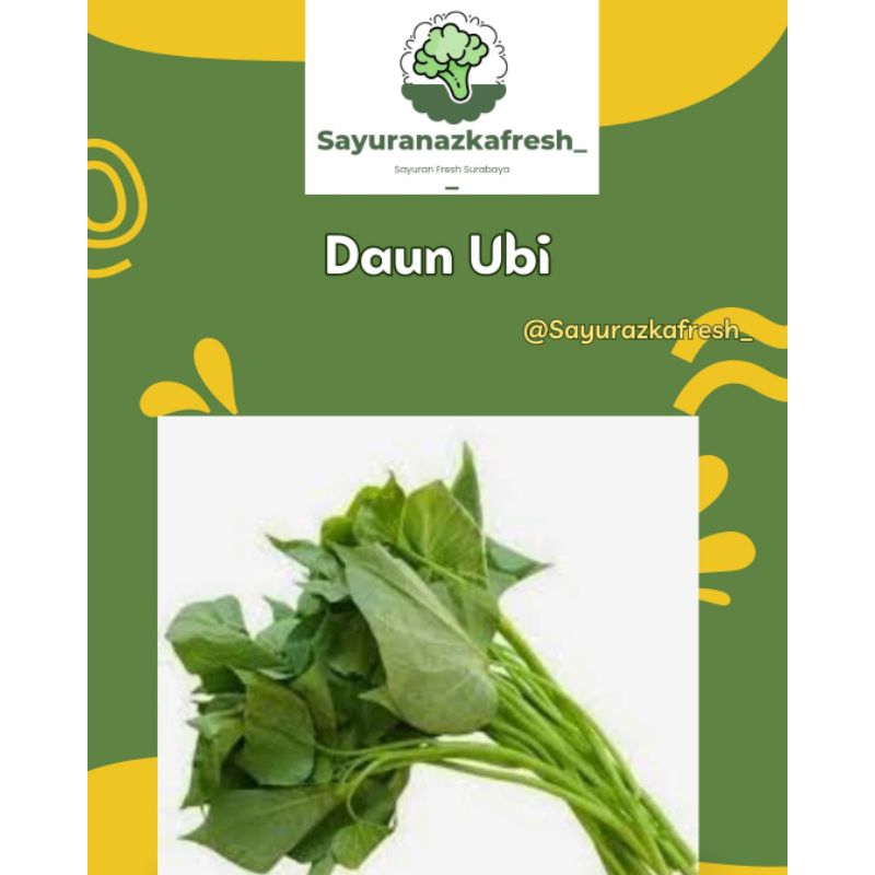 

Daun Ubi [2 ikat]