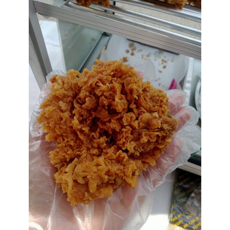 

Tepungupinipincrispyrenyahbikinkribotanpagagalviral