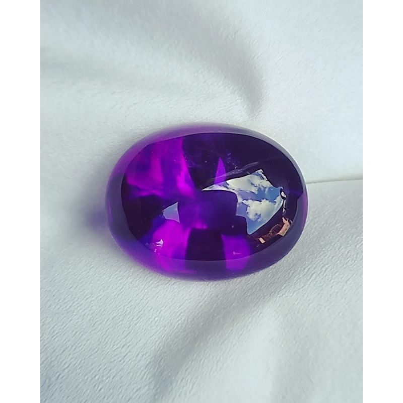 Kecubung Ungu Asli Borneo Kalimantan Kecubung Pangkalanbun