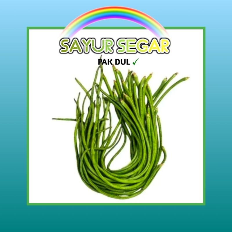 

Kacang Panjang +-250gr