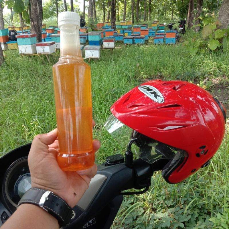 

Madu lebah Premium