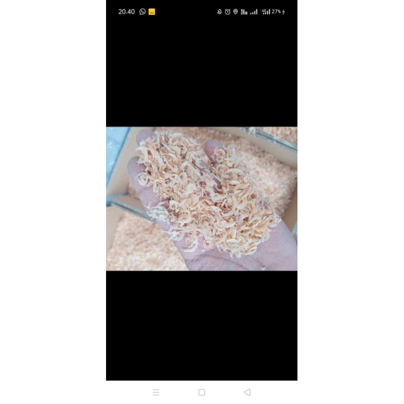 

udang rebon/udang /kecepeh /udang hepi