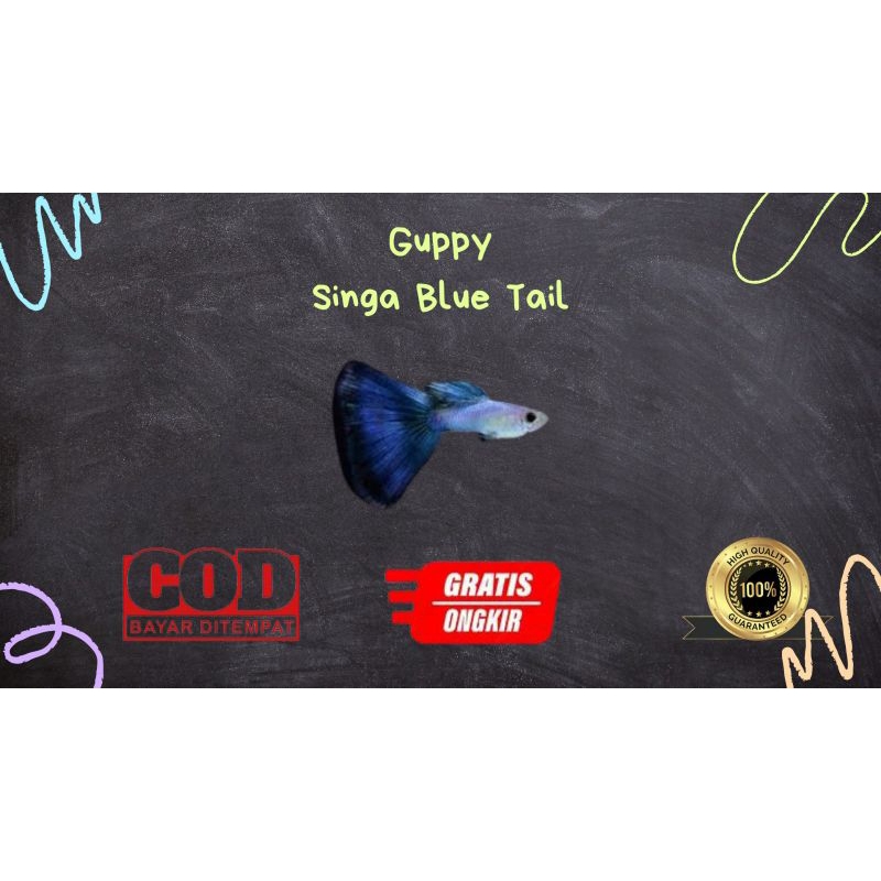 

Packing kardus / styrofoam guppy singa blue tail