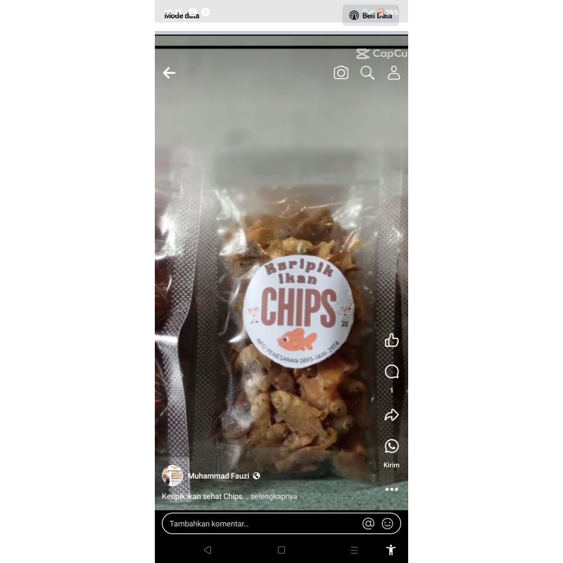 

keripik ikan chips