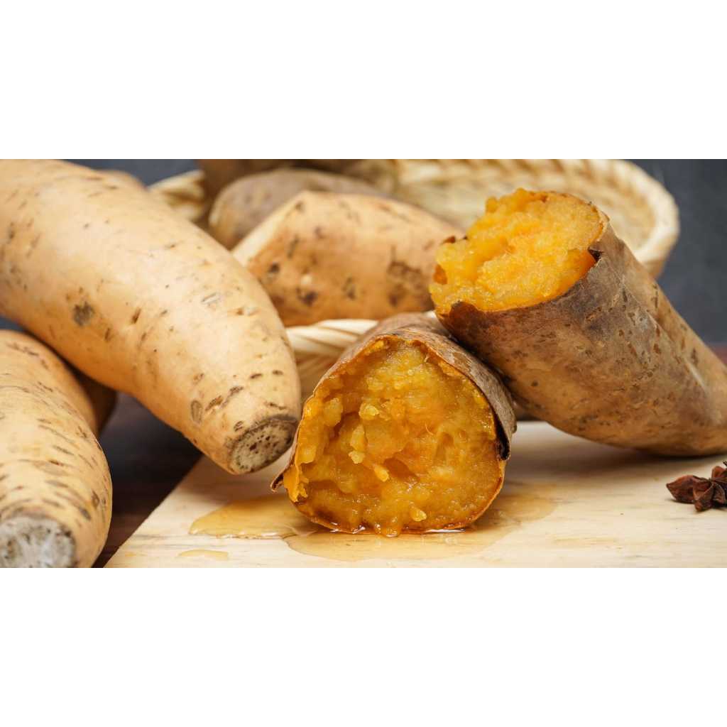

PALING MURAH UBI CILEMBU ASLI SUMEDANG 100%