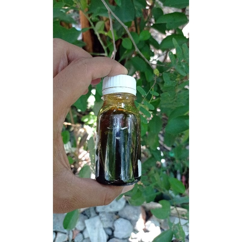 

madu tawon silper