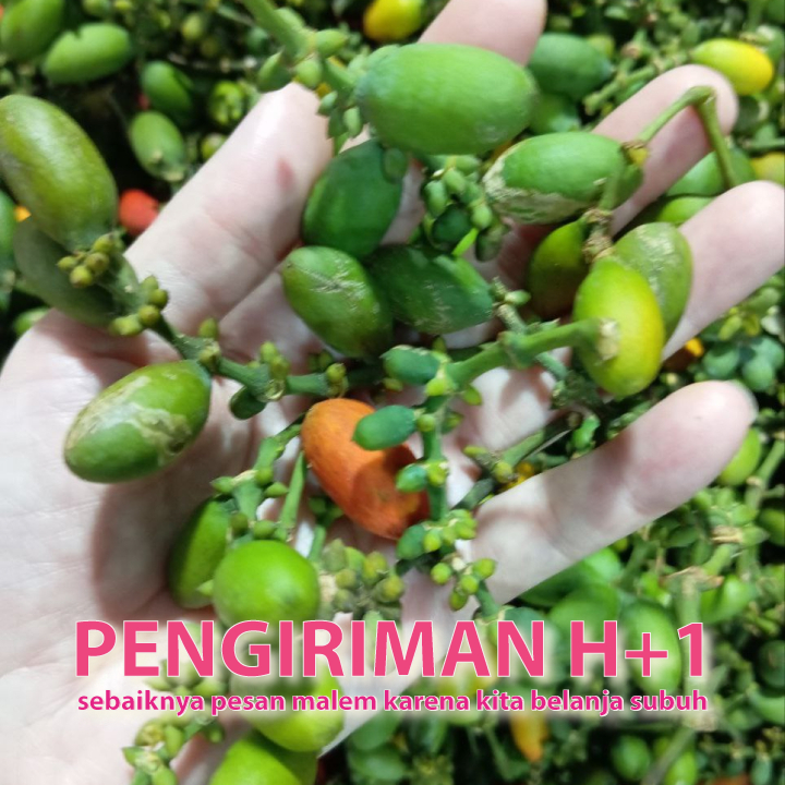 

melinjo sayuran segar