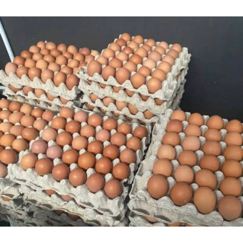 

TELUR AYAM