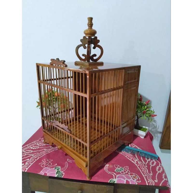 sangkar Untulan pleci