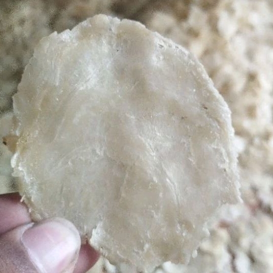 

Piscoklegit_ Emping Melinjo Medium Asli Limpung(500Gr)