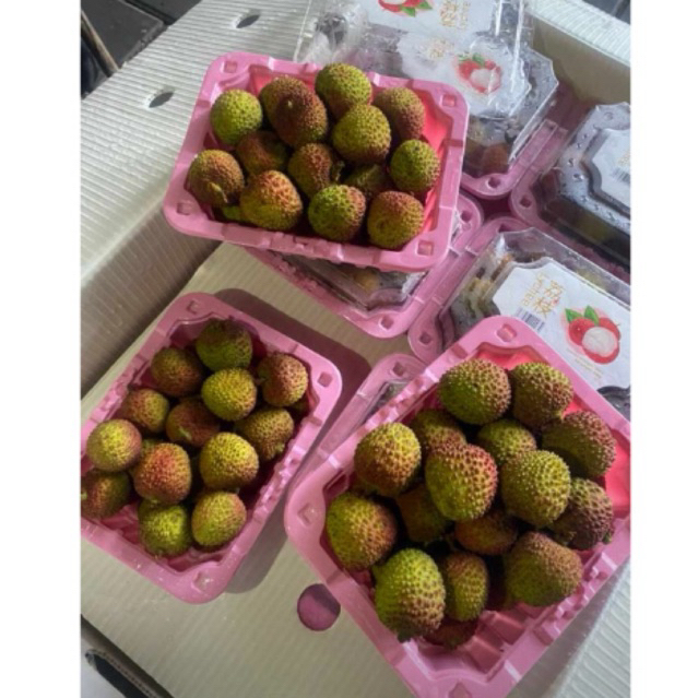 

lecy segar 1kg