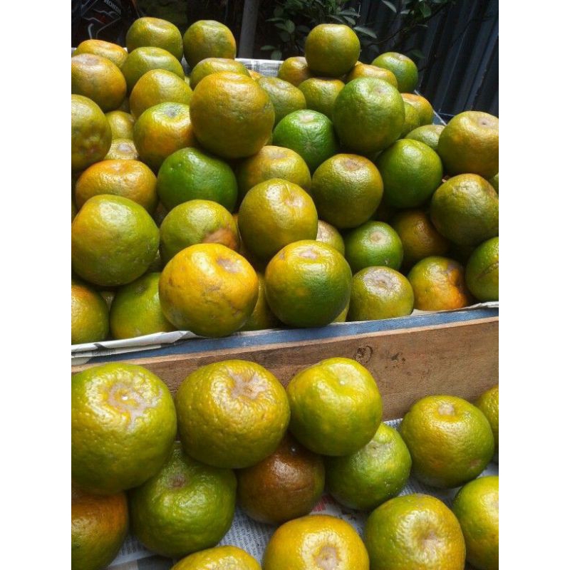 

Jeruk Lokal Per Keranjang