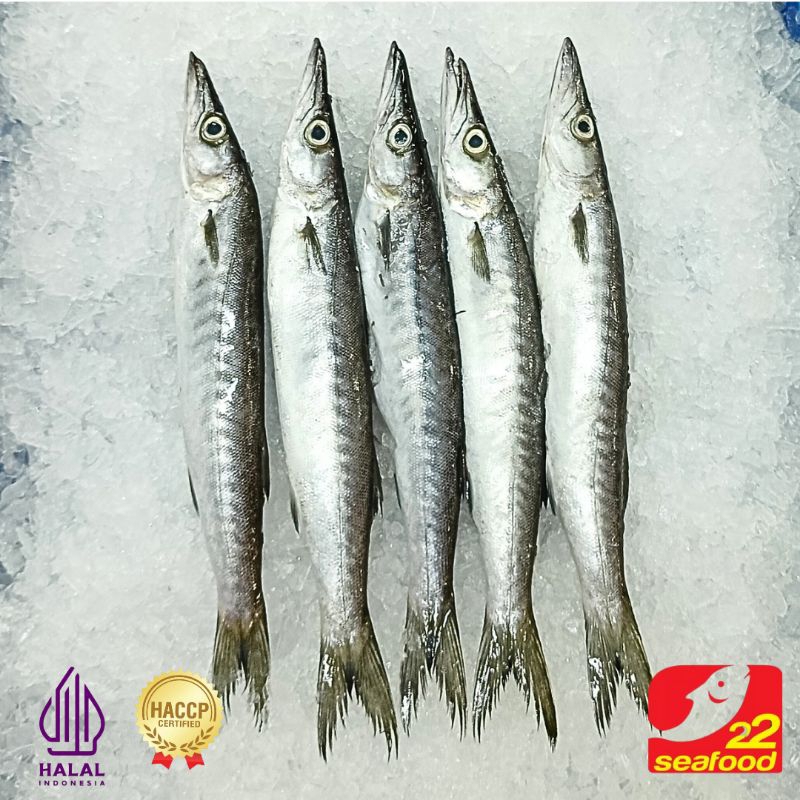 

Ikan Alu-Alu 500gr / Barracuda / Seafood 22