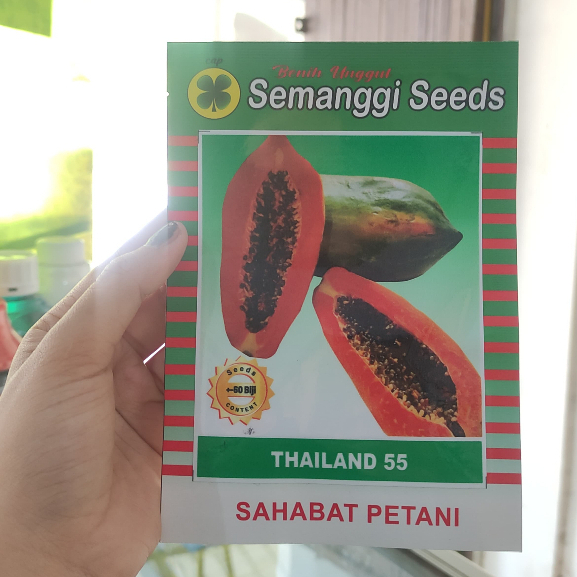 BENIH PEPAYA THAILAND 55