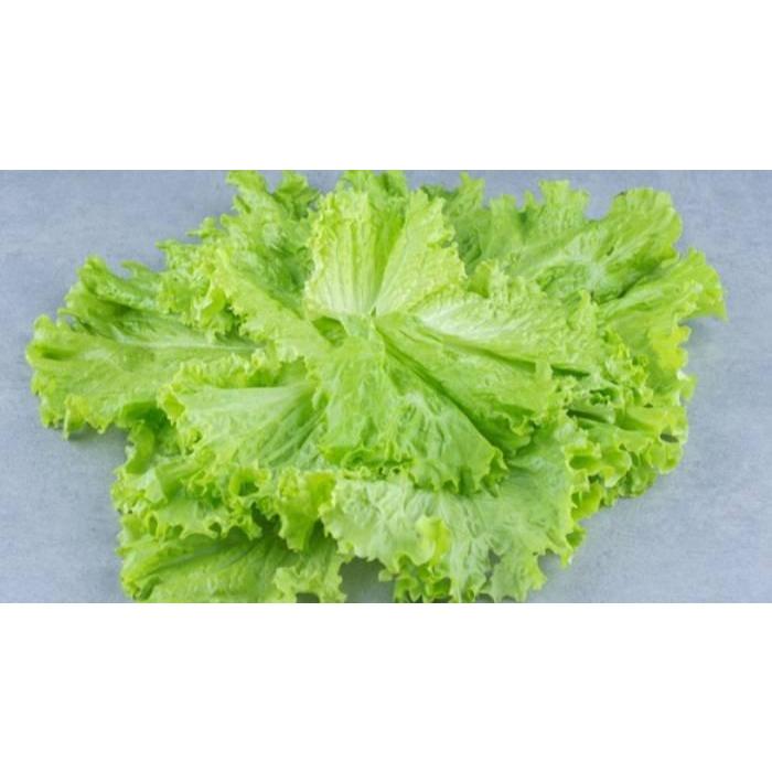 

Tosa SS_Selada - 200gr