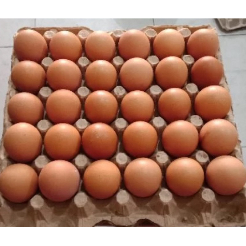 

JuaL teLur fresh