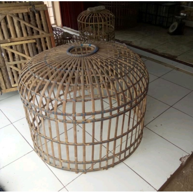 kandang Umbaran ayam jago/Bangkok murah