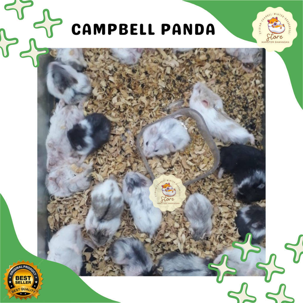 

BOX PACKING & CAMBELL PANDA