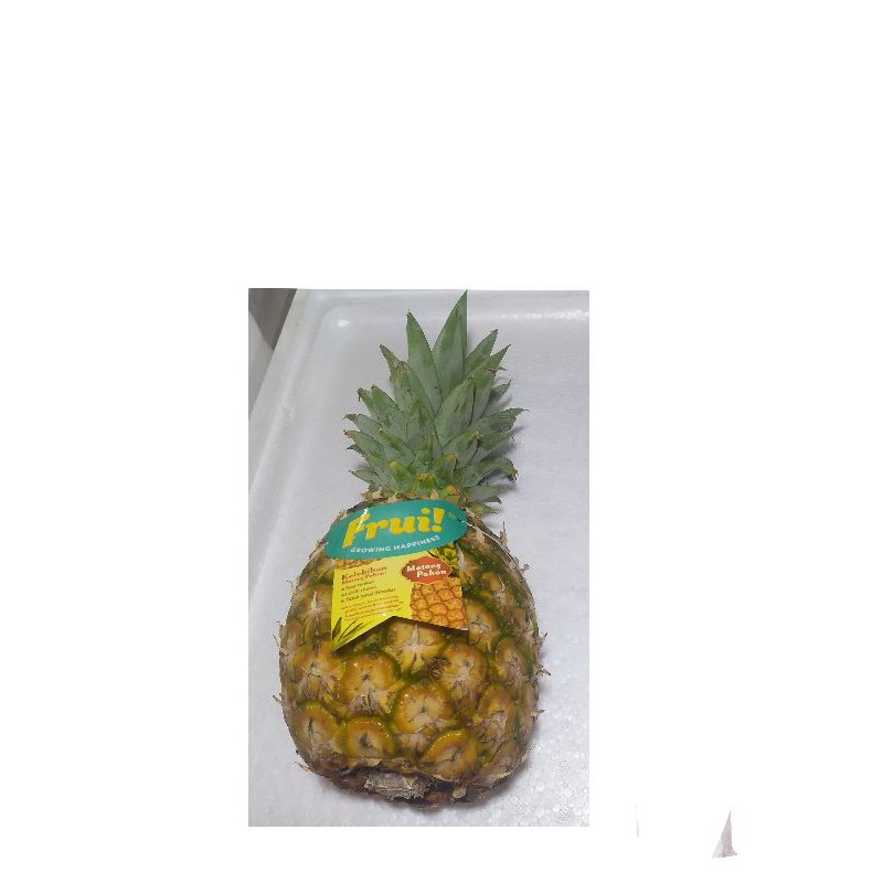 

Nanas Madu Besar 1 buah