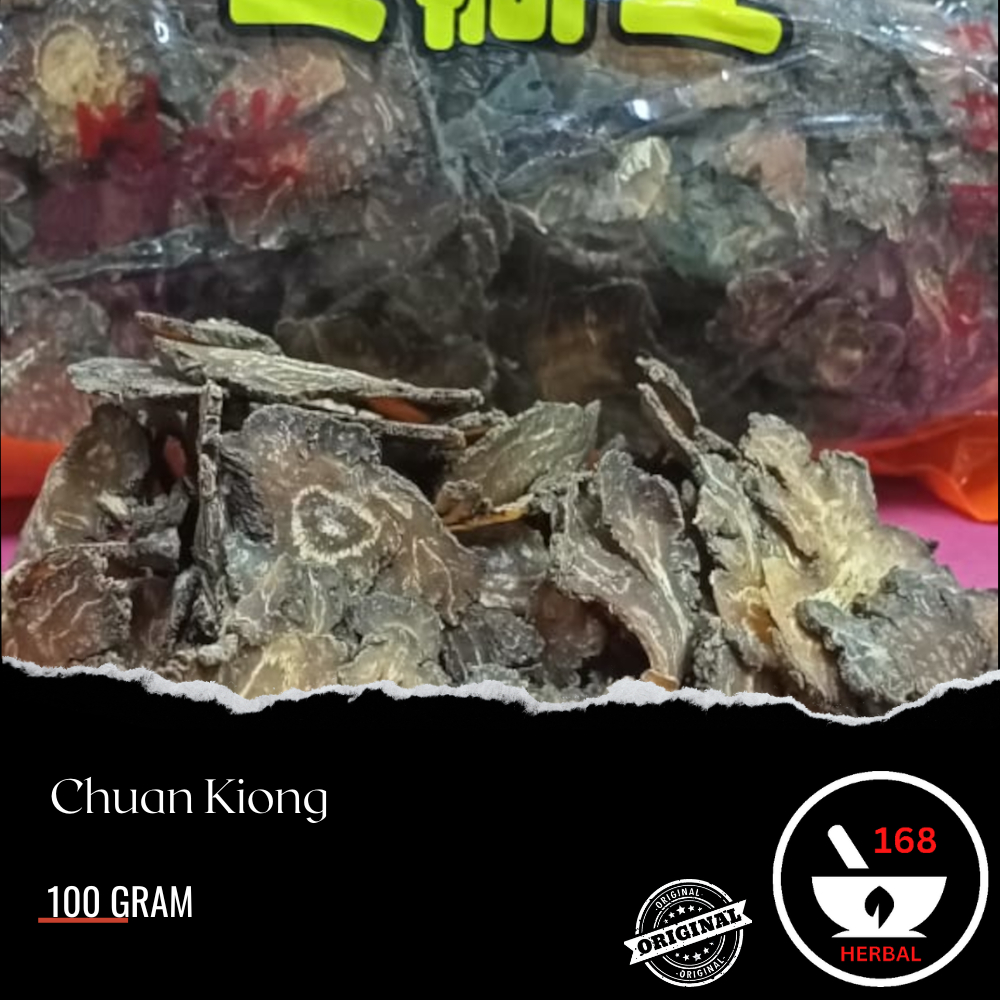 

100 gram Premium Chuan Xiong Sichuan Lovage Cuan Kiung Fresh Original