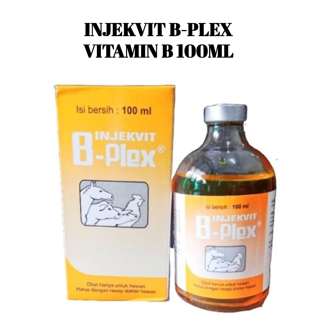 Injeksi Vitamin B Kompleks 100 ml Medion Ayam Kambing Sapi Obat Hewan