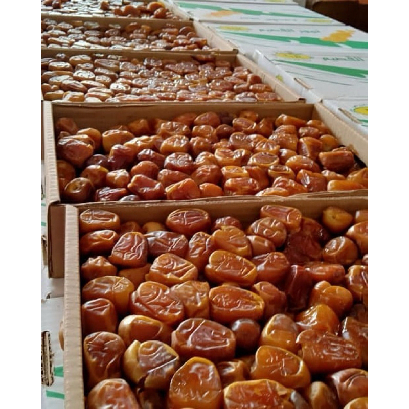 

Kurma Sukari Al Qassim 500gr Premium Basah Lembut Sukari Premium Kemasan Thinwall
