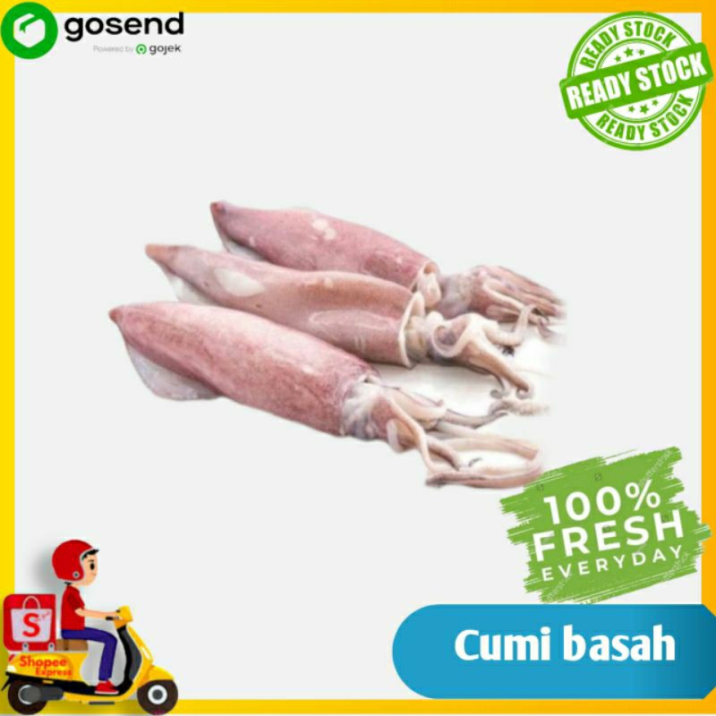 

Cumi-Cumi fresh - sayur segar - seafood segar