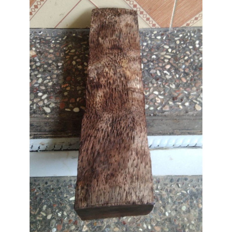 Batang ruyung aren batang ruyung kawung P 50 cm L 5 cm-az