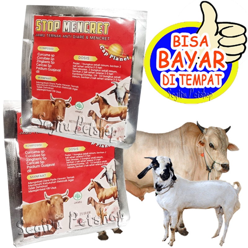 Obat Pencernaan Sapi Kambing Sakit Diare Jamu Stop Mencret
