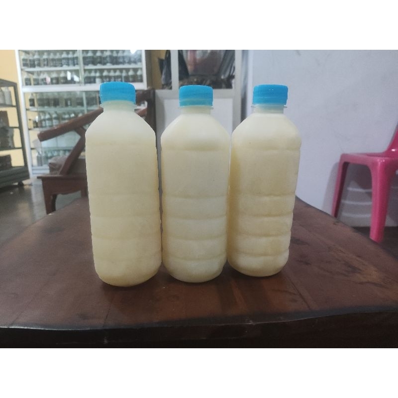 

Susu Kambing Etawa Asli Susu Kambing Murni Kemasan 500 ml