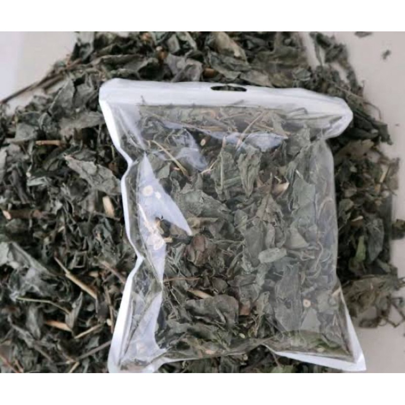 

Daun keji beling kering daun pecah beling kering-az