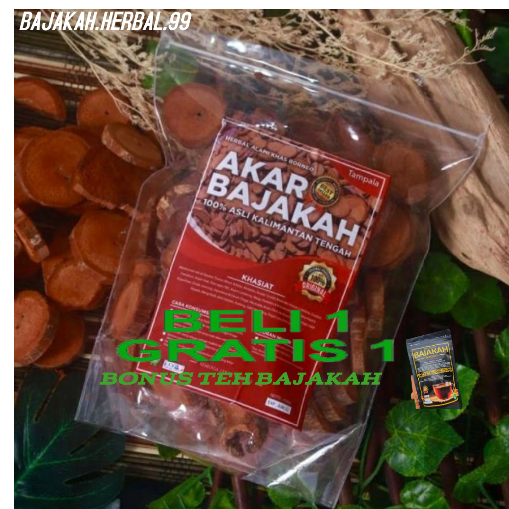 

Akar Kayu Bajakah Tampala merah akar bajakah tampala bajakah asli kering siap seduh Obat Tumor dan Kanker Asli Kalimantan (Original