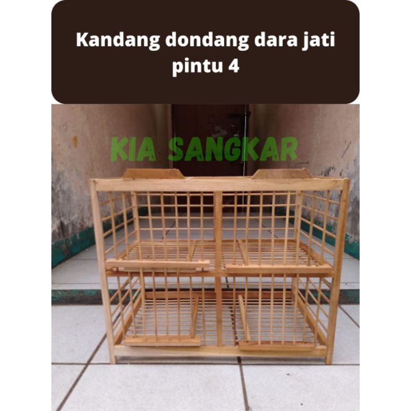 sangkar kandang dondang burung dara kayu jati pintu 4