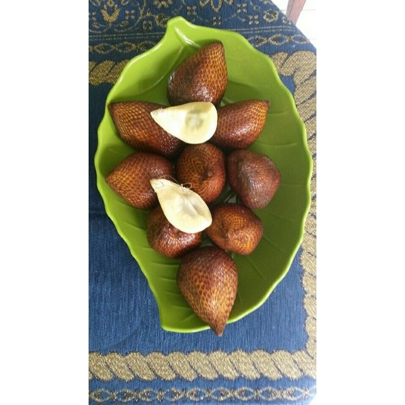 

SALAKMANISPONDOK