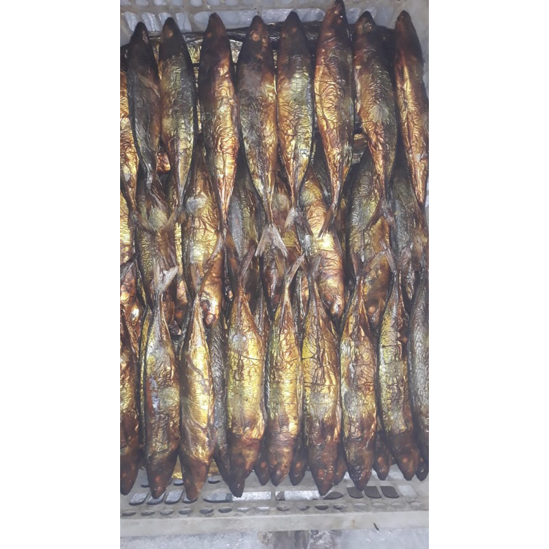 

Ikan Layang Roa Asap Enak Murah