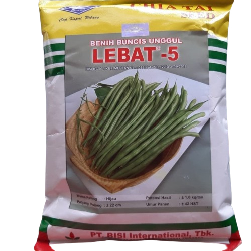 Benih Buncis Lebat -5 500gr
