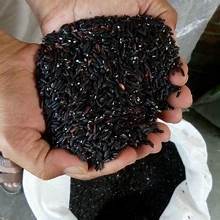 

Beras ketan hitam _ 500gr