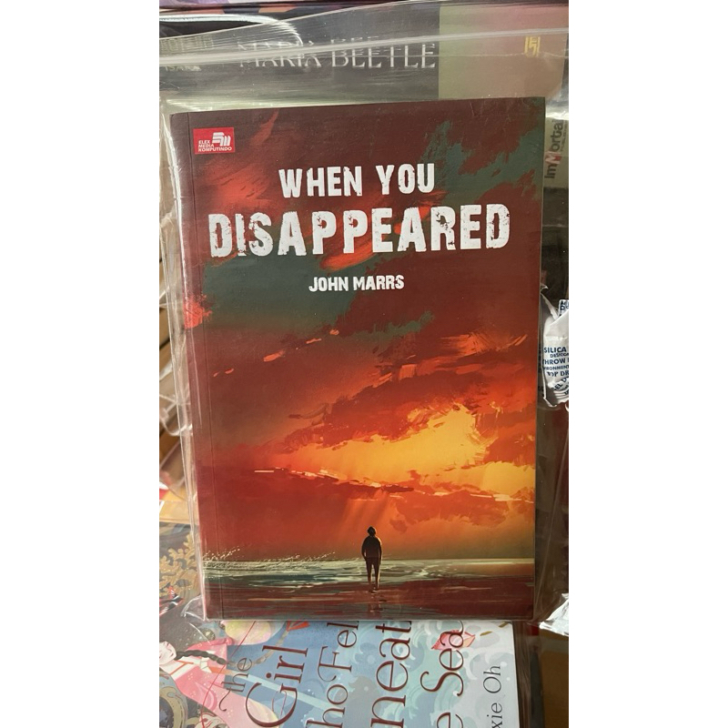 

when you disappeared preloved