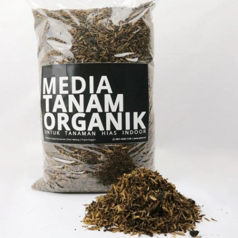 MEDIA TANAM TANAH ORGANIK