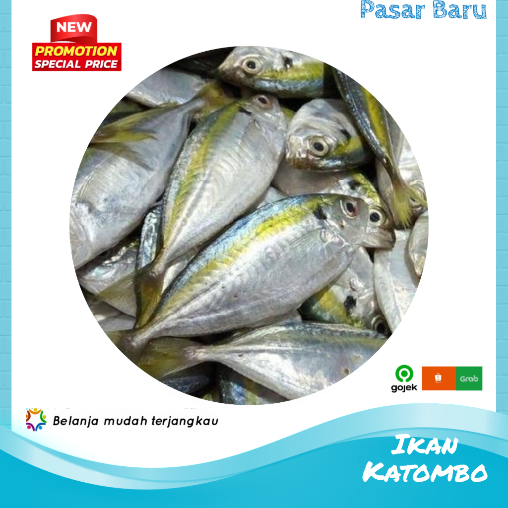 

Ikan Katombo • Isi 3-4-5 Tergantung Ukuran ✓ Murah | Pasar Baru Makassar