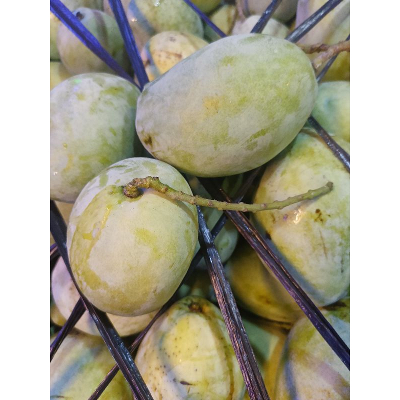 

MANGGA INDRAMAYU 1KG