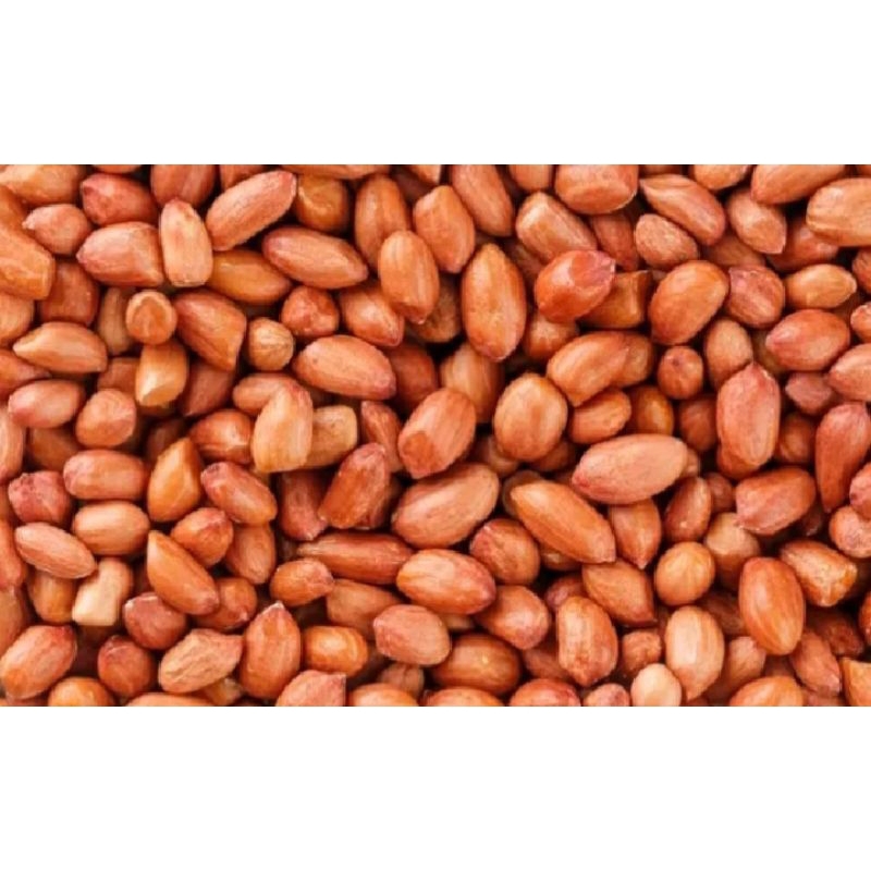 

Kacang mentah/Kacang idaman 500 gram