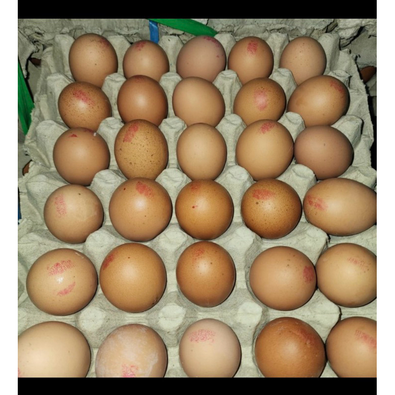

Telur Ayam Omega 1 kg