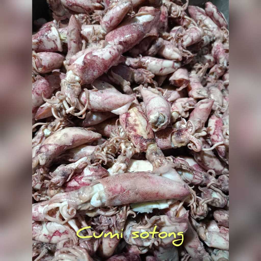 

Ikan Asin Cumi Sotong Original Murah Banget (250gr/500gr/1000gr)