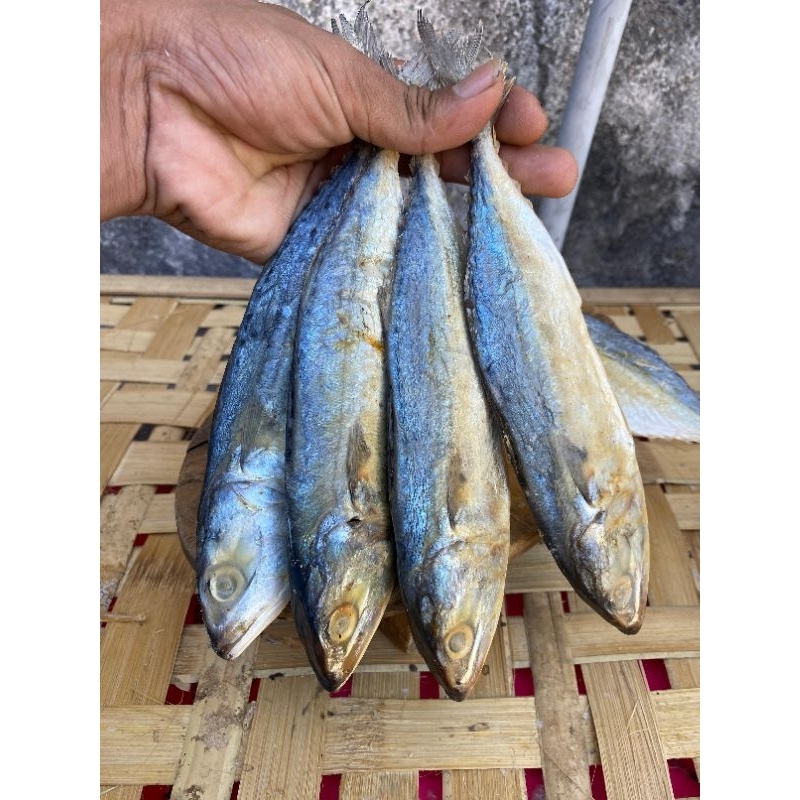 

Ikan asin peda | ikan asin peda murah 1kg