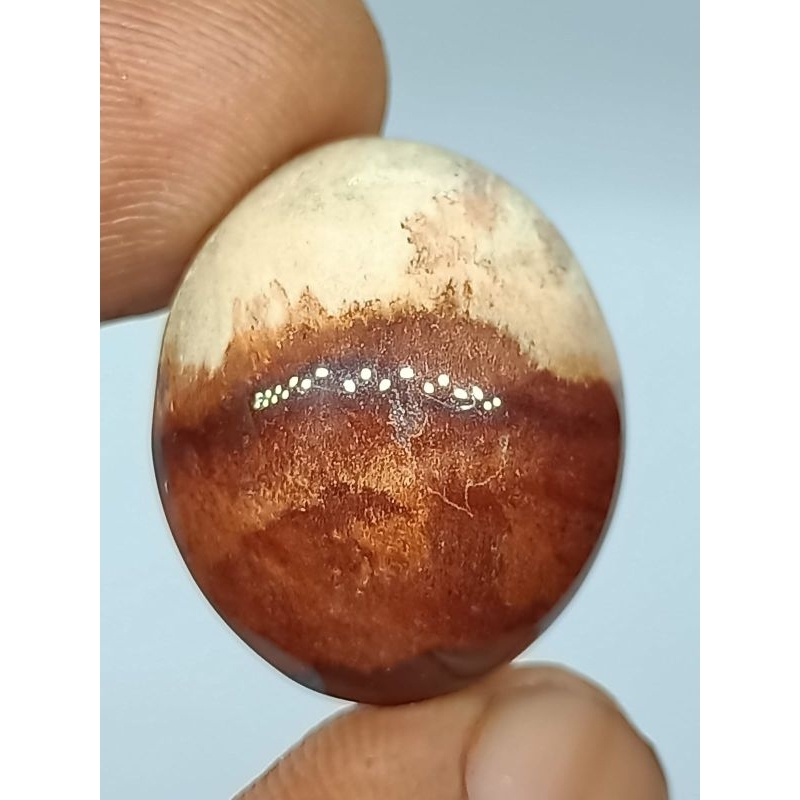 Batu Posil Galih Kelor Merah