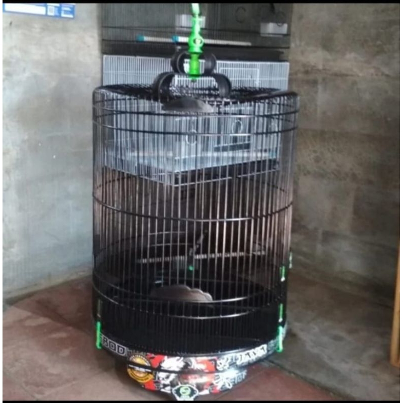 Kandang burung murai motif merk Ebod no 2 full set